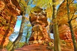 pfalz-bundsandstein--a244991873