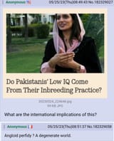 French pajeet