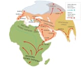 Neanderthal+Map+by+Nick+Longrich