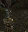 Morrowind combat is ba-_thumb.jpg