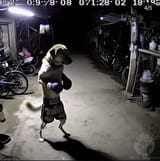 image-41