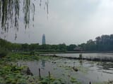 IMG_COM_202506202230371853