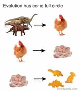 evolution-memes-7-03-31-2023