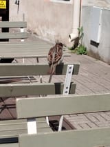 IMG_20250620_144059