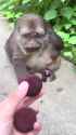 1750410110801694_thumb.jpg