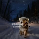 IMG_20250620_030246_635