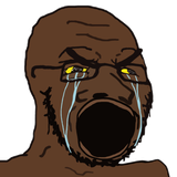 1000075040
