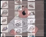 1747753583725328