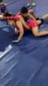 rounak_wrestler_thumb.jpg