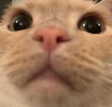 1587114281731