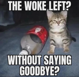 wokeleft
