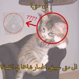 182c5910239cde2015b1e8a95bd90b2f