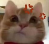 1749293081322214