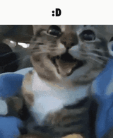 1723213143269957