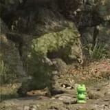mgo