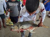 IMG_20250504_122844001