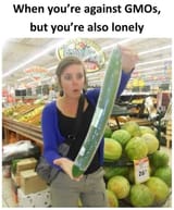 13046278
