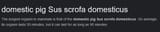 1676427508782