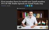 Tamil monkey