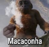 macaconha