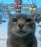 1747529589468447