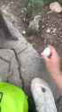 nmhoira5q58f1_thumb.jpg