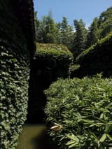 IMG_COM_202506211303441425