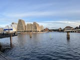 IMG_5172