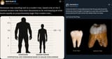 denisovan vs human