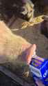 1742273819686248_thumb.jpg