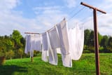 istockphoto-913834322-612x612