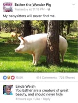 1828