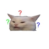 confused-cat-baby-bib