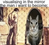 Cat mirror
