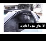 216755AD-EF4B-4723-AB7A-0EE7B6503A10