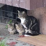 IMG_20250621_190558