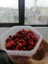 yagody