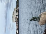 IMG_5150