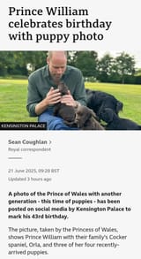 prince-william