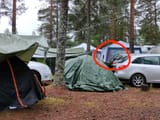 haijastus