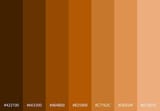 brown-gradient-color-palette_713536-681