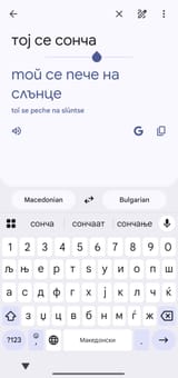 Screenshot_2025-06-21-17-14-59-789_com.google.android.apps.translate-edit