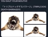1734822995375421
