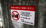 Europeans Please Refrain From Taking Photos