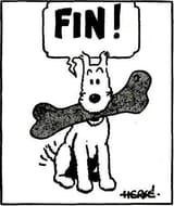 fin19