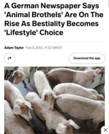 Animal Brothels in Cumskinland
