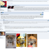 Cumskin Dogpill 4