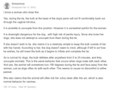 Cumskin Dogpill 6
