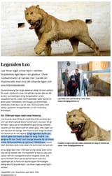 lejon