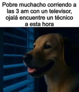 496836274_743119881619480_873333766249960410_n